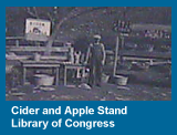 Cider and Apple Stand