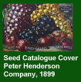 Seed Catalogue Cover