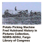 Potato Picking Machine